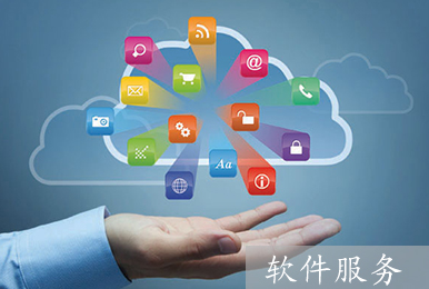 软件服务-萌想科技